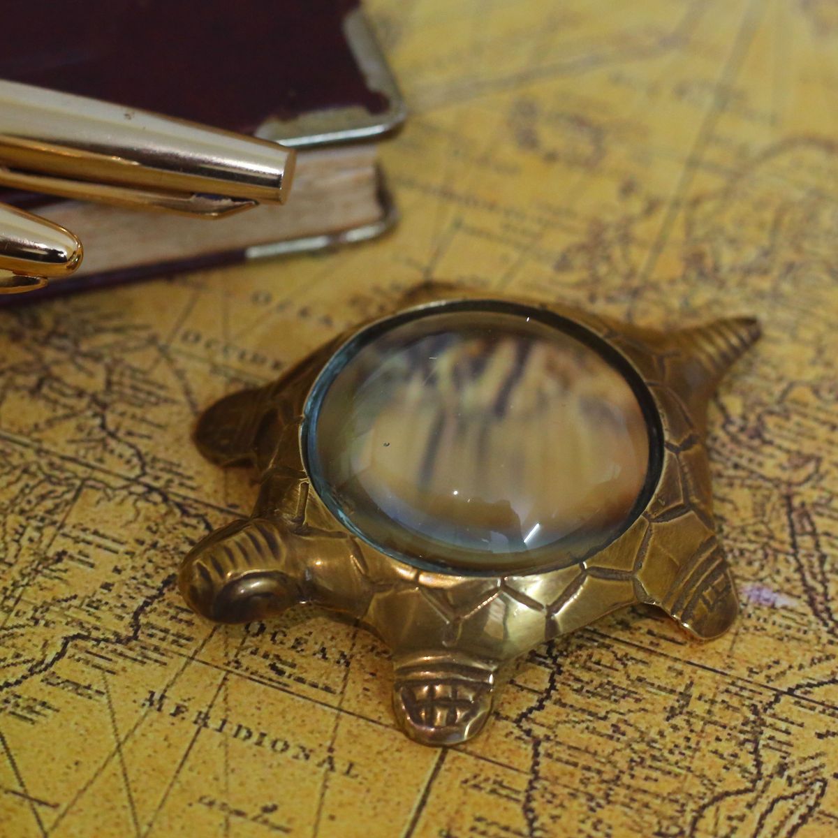 BRASS TORTOISE  READING MAGNIFIER