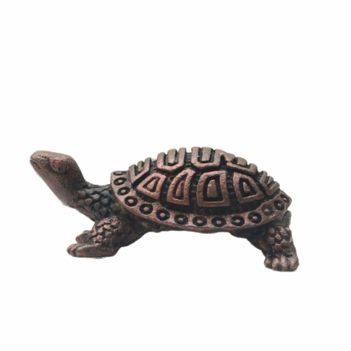 COPPER TORTOISE