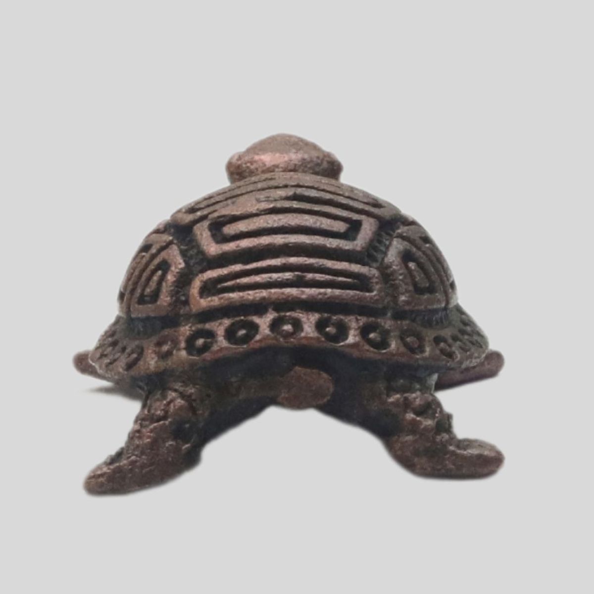 COPPER TORTOISE