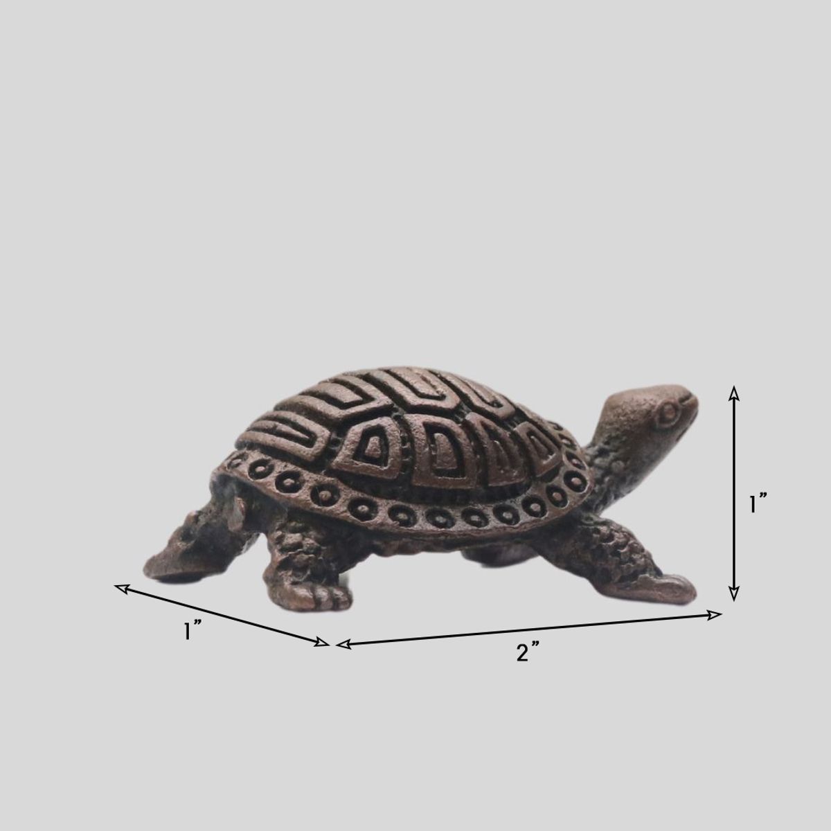 COPPER TORTOISE